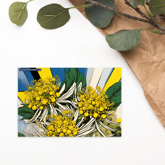 Australian Golden Wattle Postcard